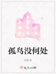 孤鸟没何处在线阅读