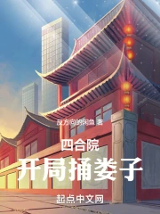 四合院：开局捅娄子》小说在线阅读-起点中文网手机端