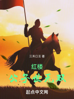 红楼公子世无双封面