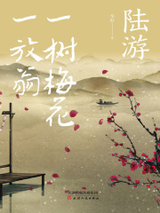 陆游：一树梅花一放翁