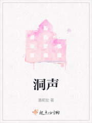 洞声在线阅读
