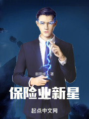 保险业新星在线阅读