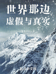 世界那边，虚假与真实在线阅读