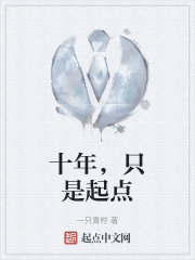 十年，只是起点在线阅读