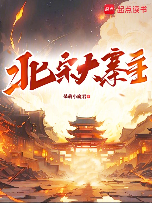 北宋大寨主