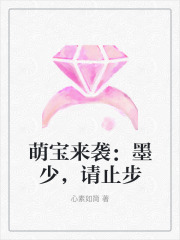 萌宝来袭：墨少，请止步