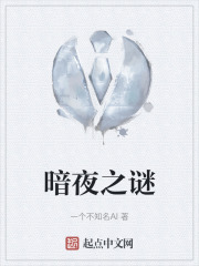 暗夜之谜在线阅读