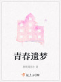 青春遗梦在线阅读
