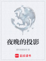 夜晚的投影在线阅读