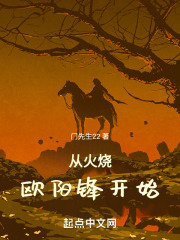 从火烧欧阳锋开始在线阅读