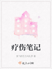 疗伤笔记在线阅读