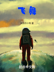 飞舞在线阅读