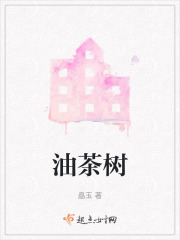 油茶树在线阅读
