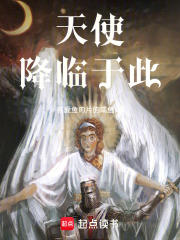 天使降临于此在线阅读