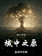 域之中在线阅读