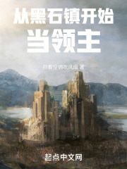 从黑石镇开始当领主在线阅读