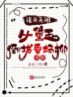 诸天无限从黛玉倒拔垂杨柳开始封面
