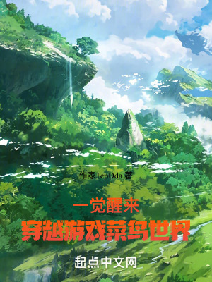 一觉醒来，穿越游戏菜鸟世界在线阅读