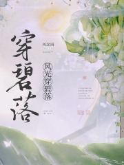 风光穿碧落在线阅读