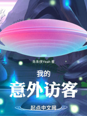 我的意外访客在线阅读