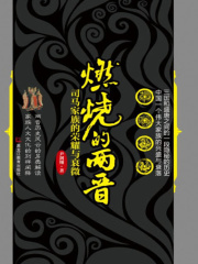 燃烧的两晋：司马家族的荣耀与衰微