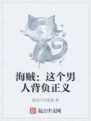 海贼：这个男人背负正义