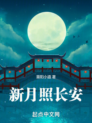 新月照长安在线阅读