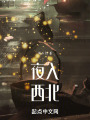 夜入西北在线阅读
