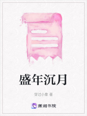 盛年沉月在线阅读