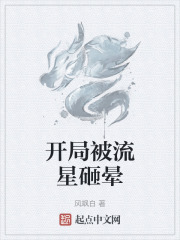 开局被流星砸晕