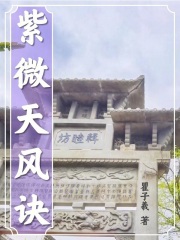 紫微天风诀在线阅读