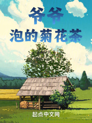 爷爷泡的菊花茶在线阅读