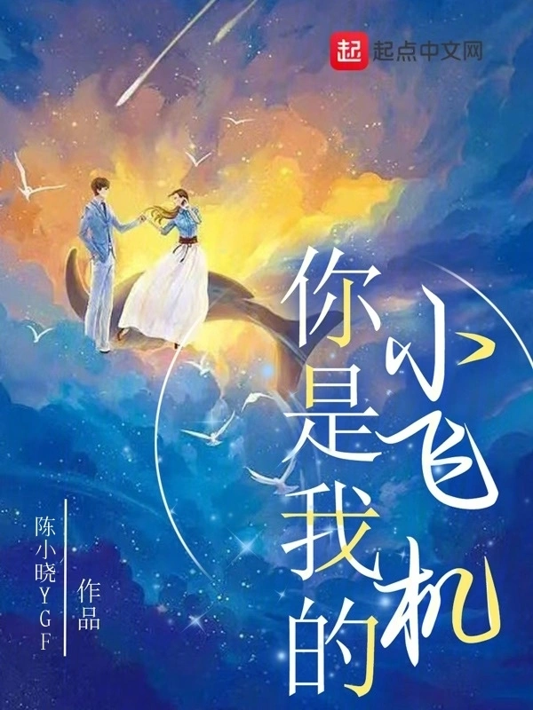 你是我的小飞机