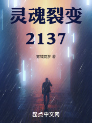 灵魂裂变：2137