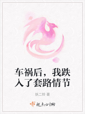 车祸后，我跌入了套路情节在线阅读