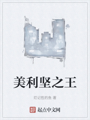 美利坚之王在线阅读