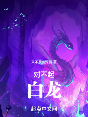 对不起，白龙