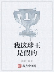 我这球王是假的在线阅读