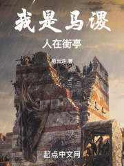 我是马谡，人在街亭在线阅读