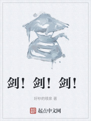剑！剑！剑！在线阅读