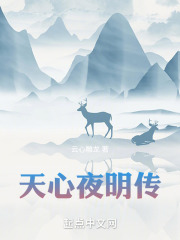 天心夜明传