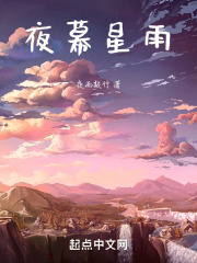 夜幕星雨