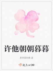 许他朝朝暮暮在线阅读