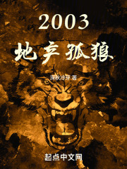 2003，地产孤狼