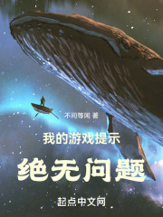 我的游戏提示绝无问题在线阅读