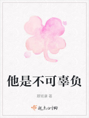 他是不可辜负在线阅读