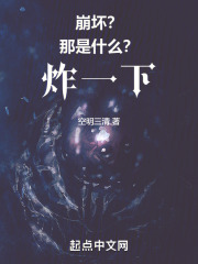 崩坏？那是什么？炸一下！