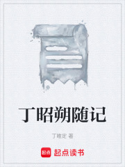 丁昭朔随记在线阅读