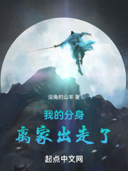 我的分身离家出走了
