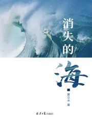 消失的海